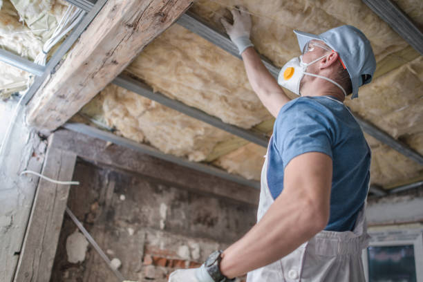  Courtland, VA Insulation Contractor Pros