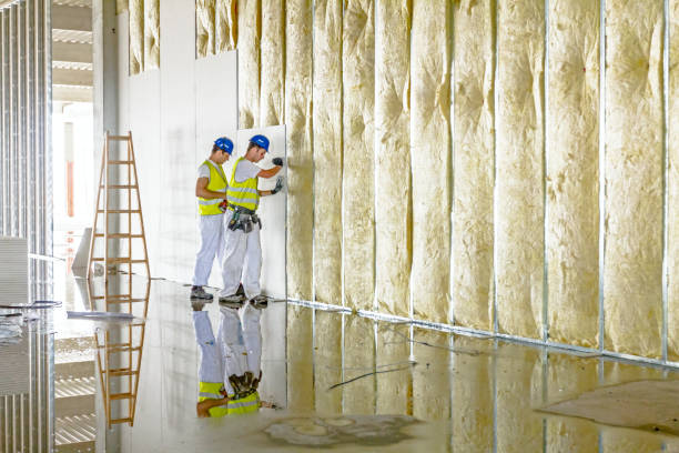Courtland, VA Insulation Contractor Pros